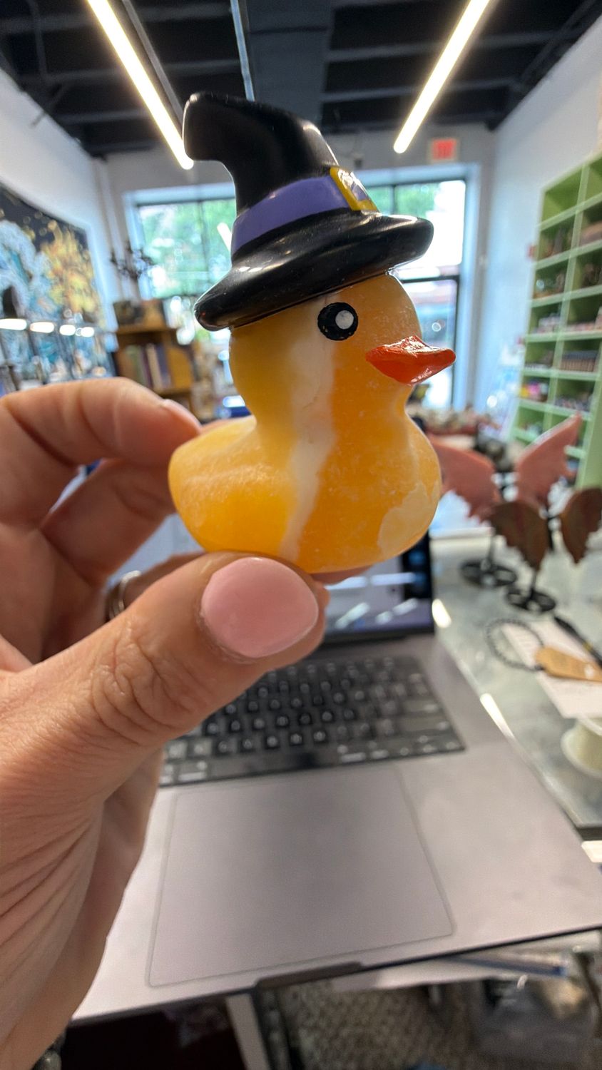 Witchy Duck 2”