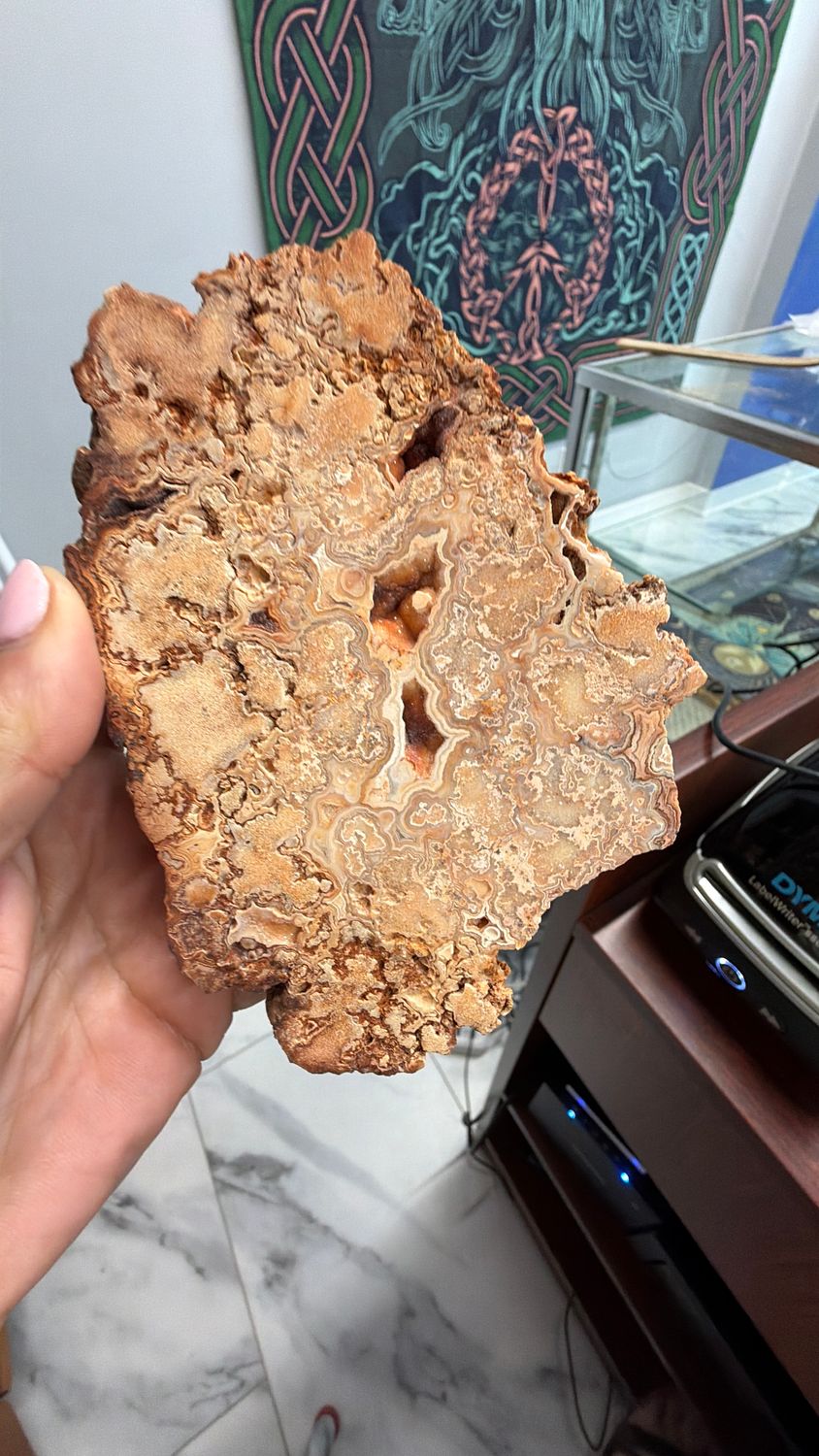Crazy Lace Agate Slab 5.5”