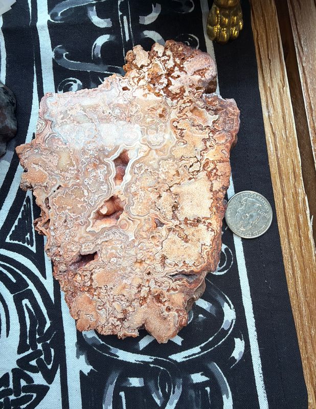 Crazy Lace Agate Slab 5.5”