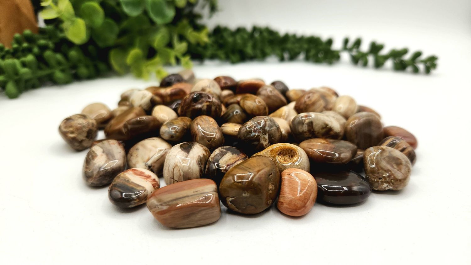 Petrified Wood Tumbled Gemstone 10-20mm (0.5kg/1.1lbs.), Size: 0.5KG/1.1LBS