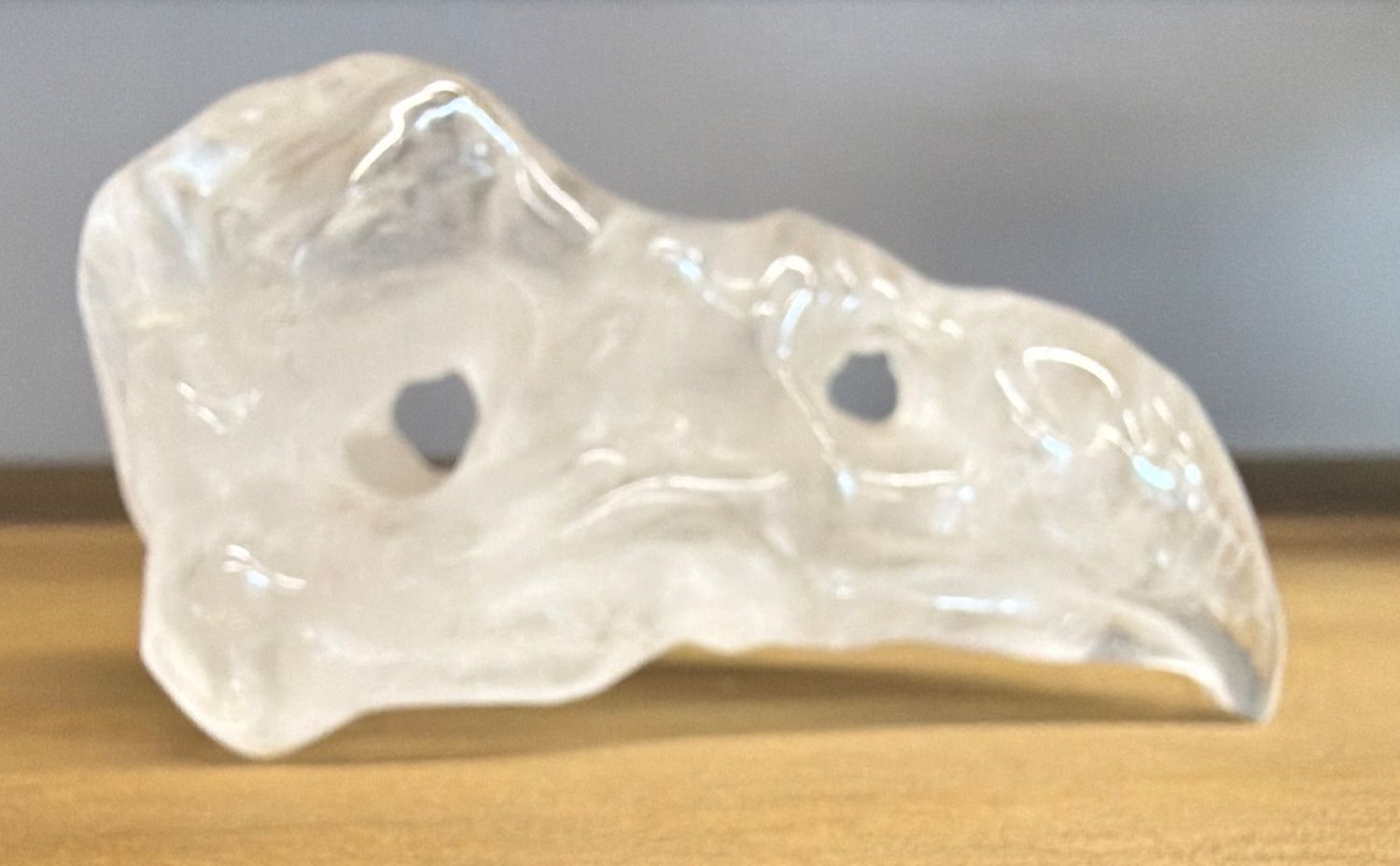 Clear Quartz Raven Skull