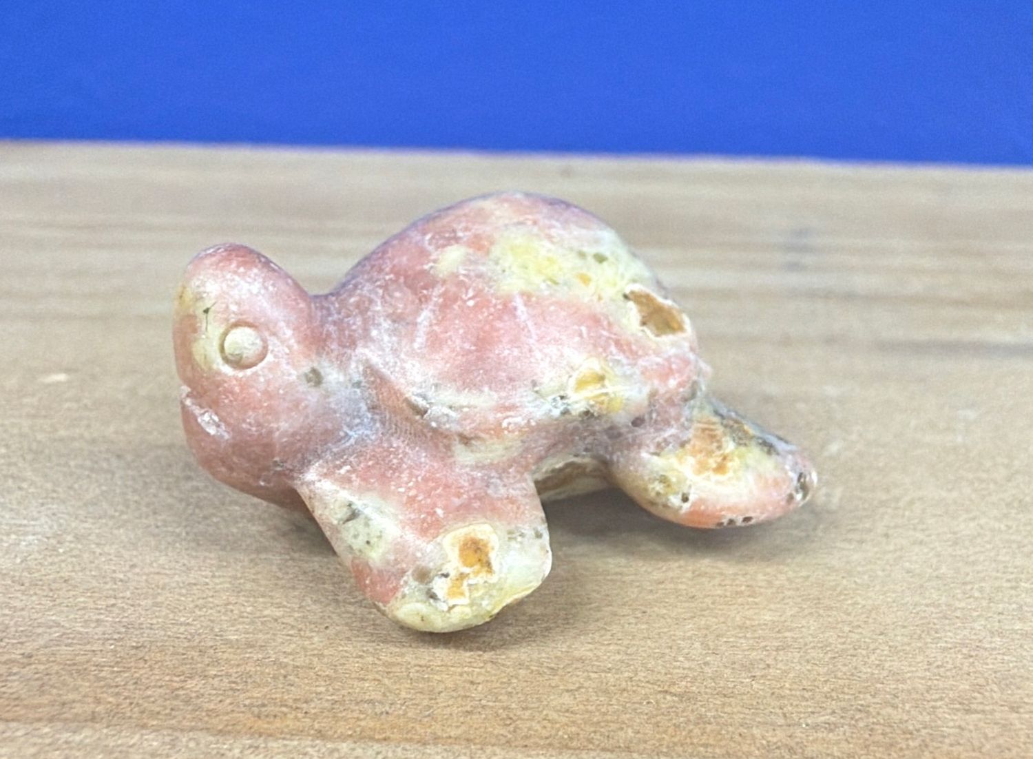 Pink Opal Turtle
