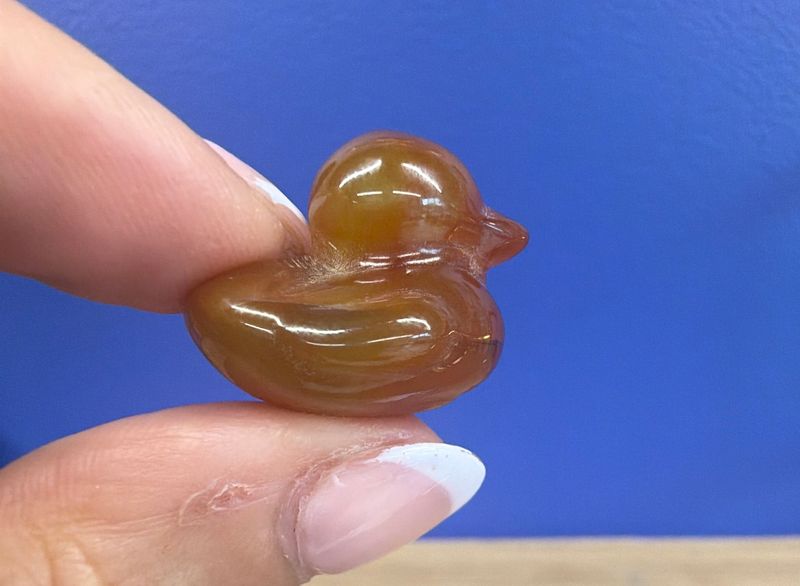 Carnelian Duckie
