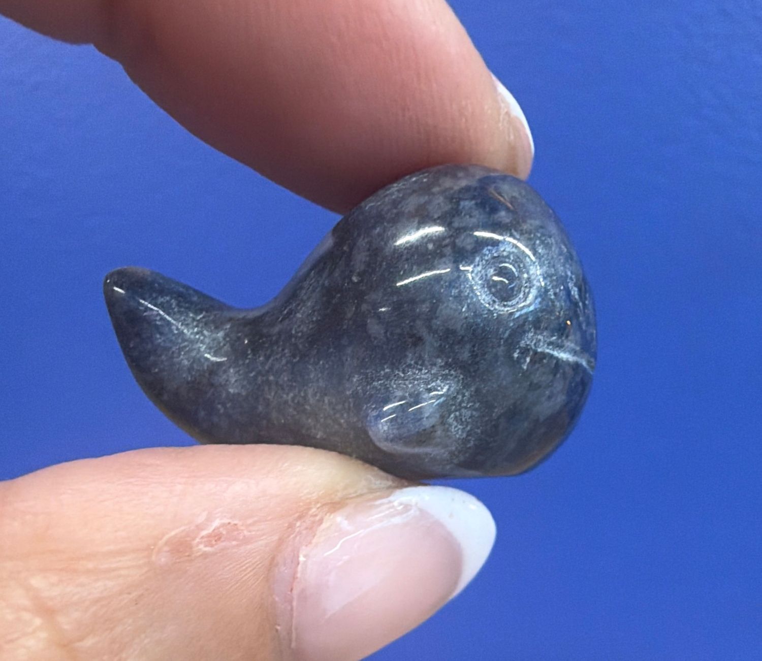 Sodalite Mini Whale