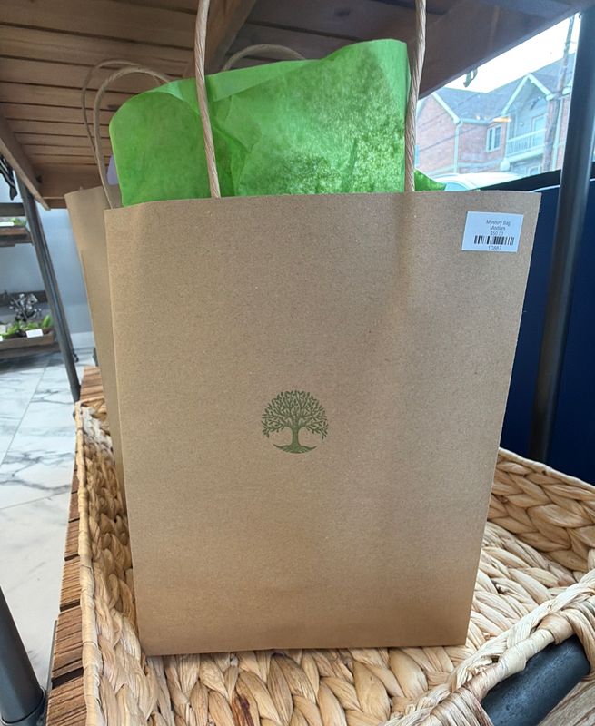 Mystery Bag Medium