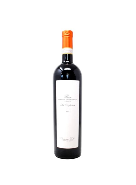 Roero DOCG 2023