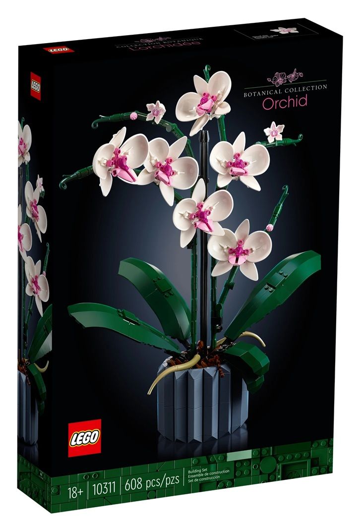 10311 | Orchidea
