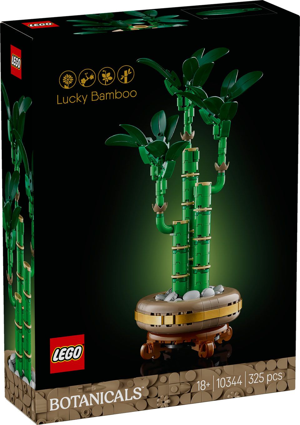 10344 | Dracena Sandera