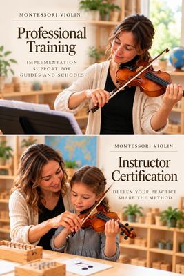 Professional Curriculum