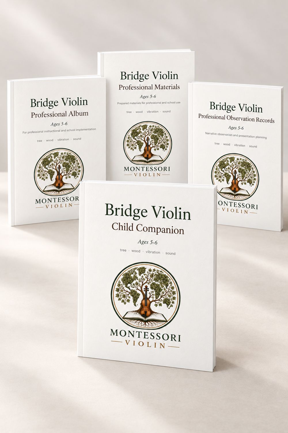 Montessori Violin for Schools: Bridge Ages 5–6