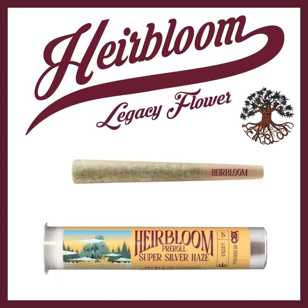 Super Silver Haze | Pre-Roll [.75g]