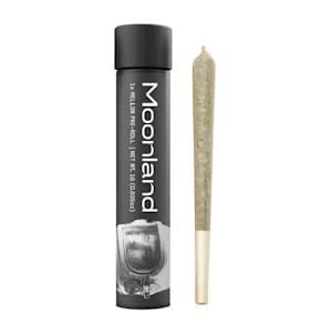 Key Lime Jack | Mellow Pre-Roll [1g]