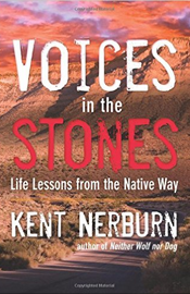 Voices in the Stones Voices in the Stones