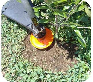 Powerweeder