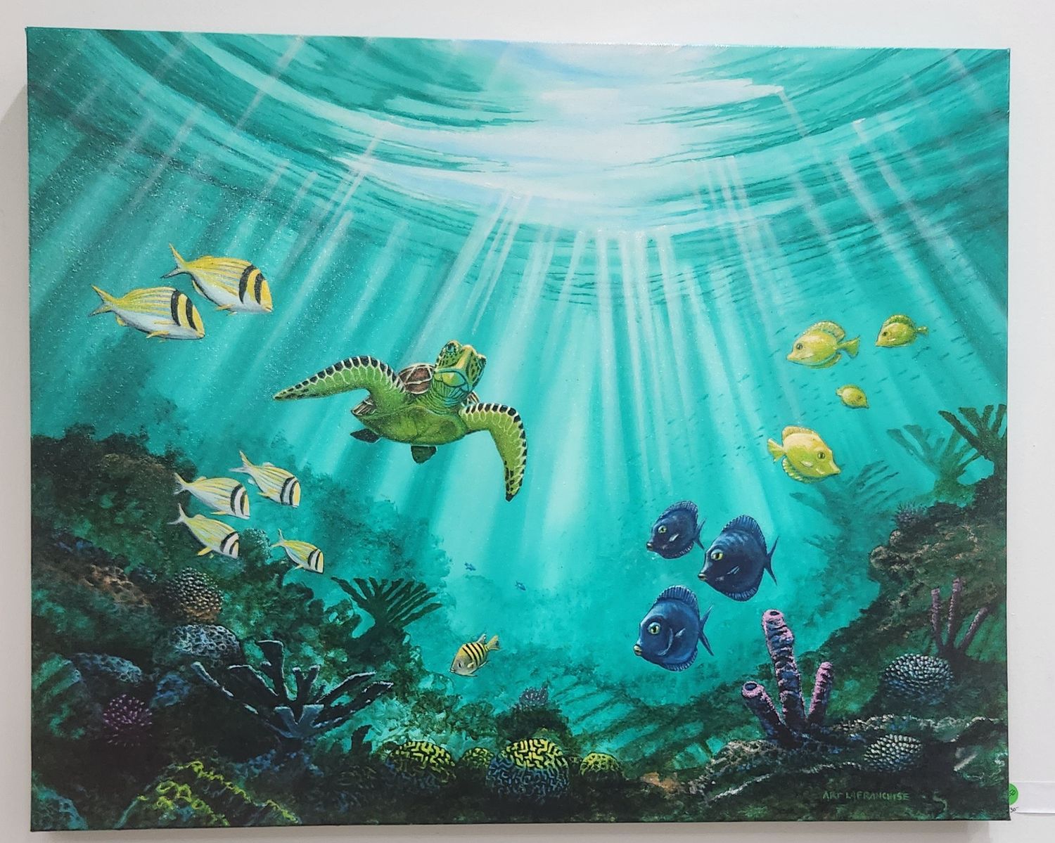 GUARDIAN OF THE REEF — INTO THE BLUE