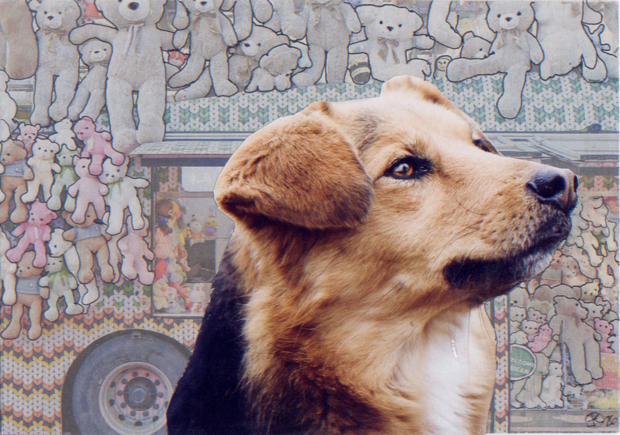 Hund auf der Kirmes