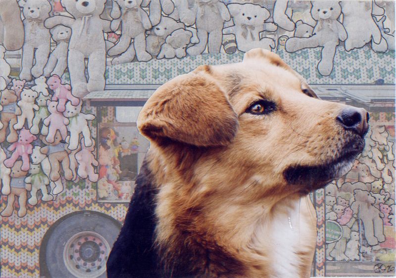 Hund auf der Kirmes