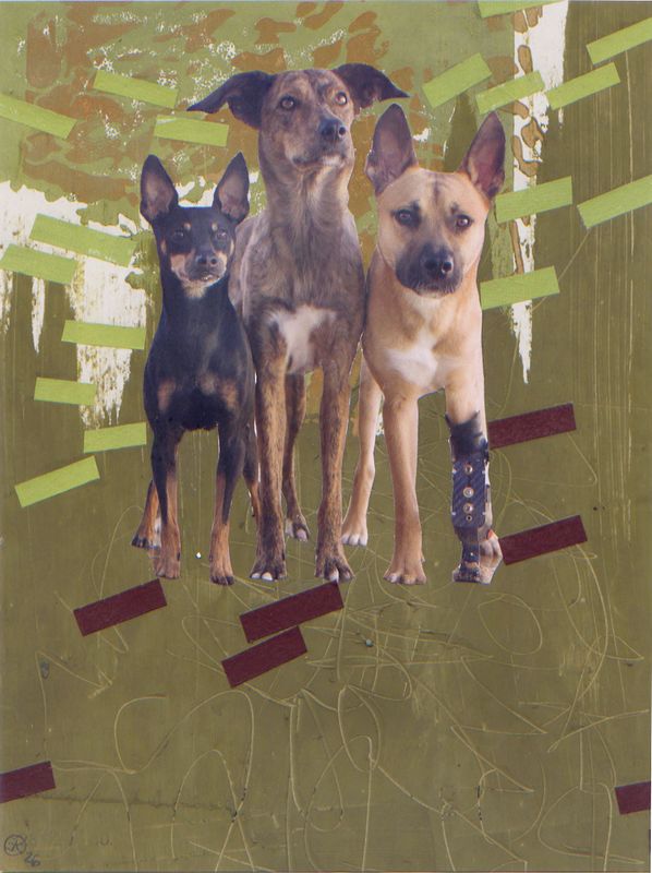 Hundebande