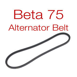 Belt for Beta 75 - v-belt or multi-groove