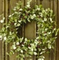 Winter Silver Dollar Wreath, 24"