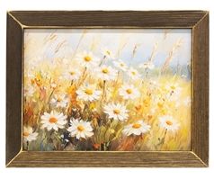 Sunlit Daisies
