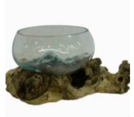 Glass Bowl On Wood Base/Succulent Dish