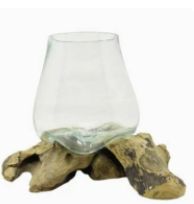 X-Small Glass &amp; Driftwood Terrarium (Approx. 10"X 6" X 8"H)