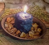 Blueberry 4x6 Candle
