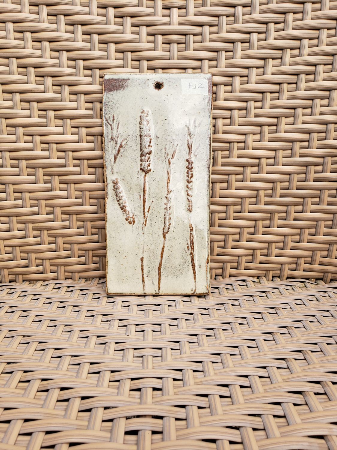Birch Plant Print Plaque 2