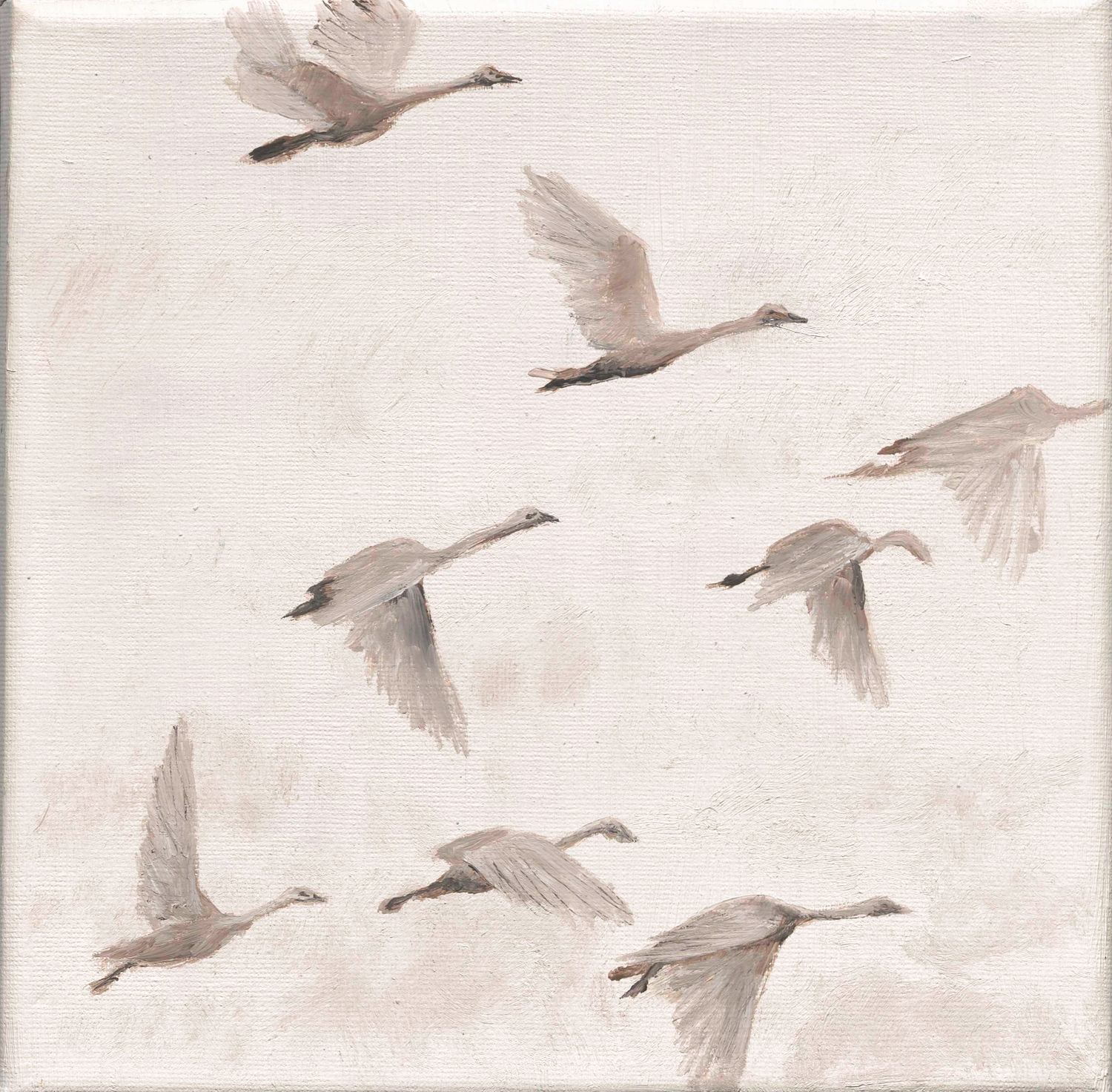 Swans 20 x 20 scan 1:1