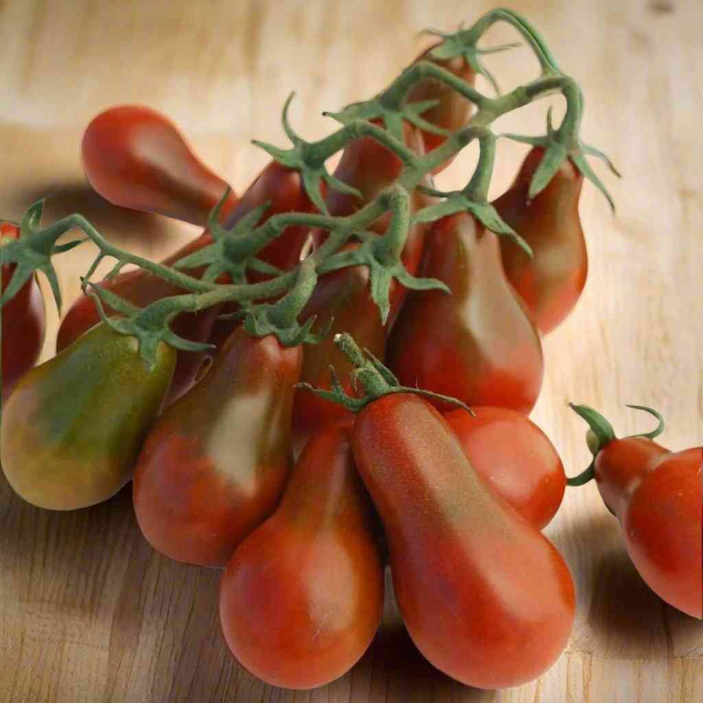 Pear Chocolate Tomato
