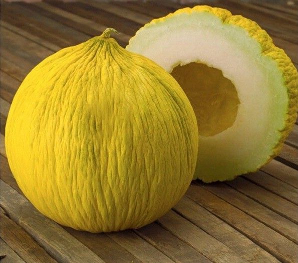 Golden Beauty Casaba Melon Seeds | Premium Open-Pollinated Heirloom Variety
