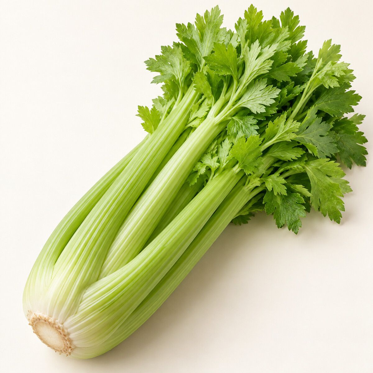 Celery — 1 piece