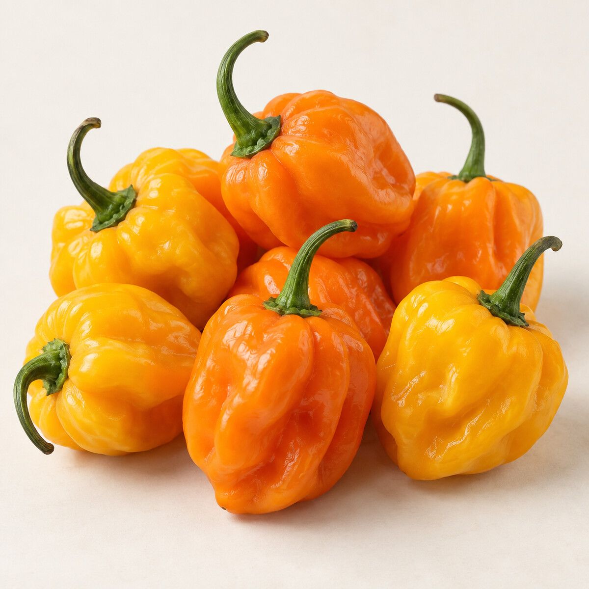 Hot Pepper (Pika) — 500 g