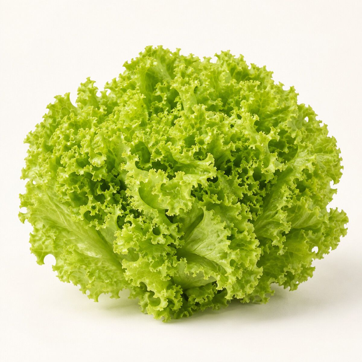 Lollo Bionda Lettuce — 1 piece