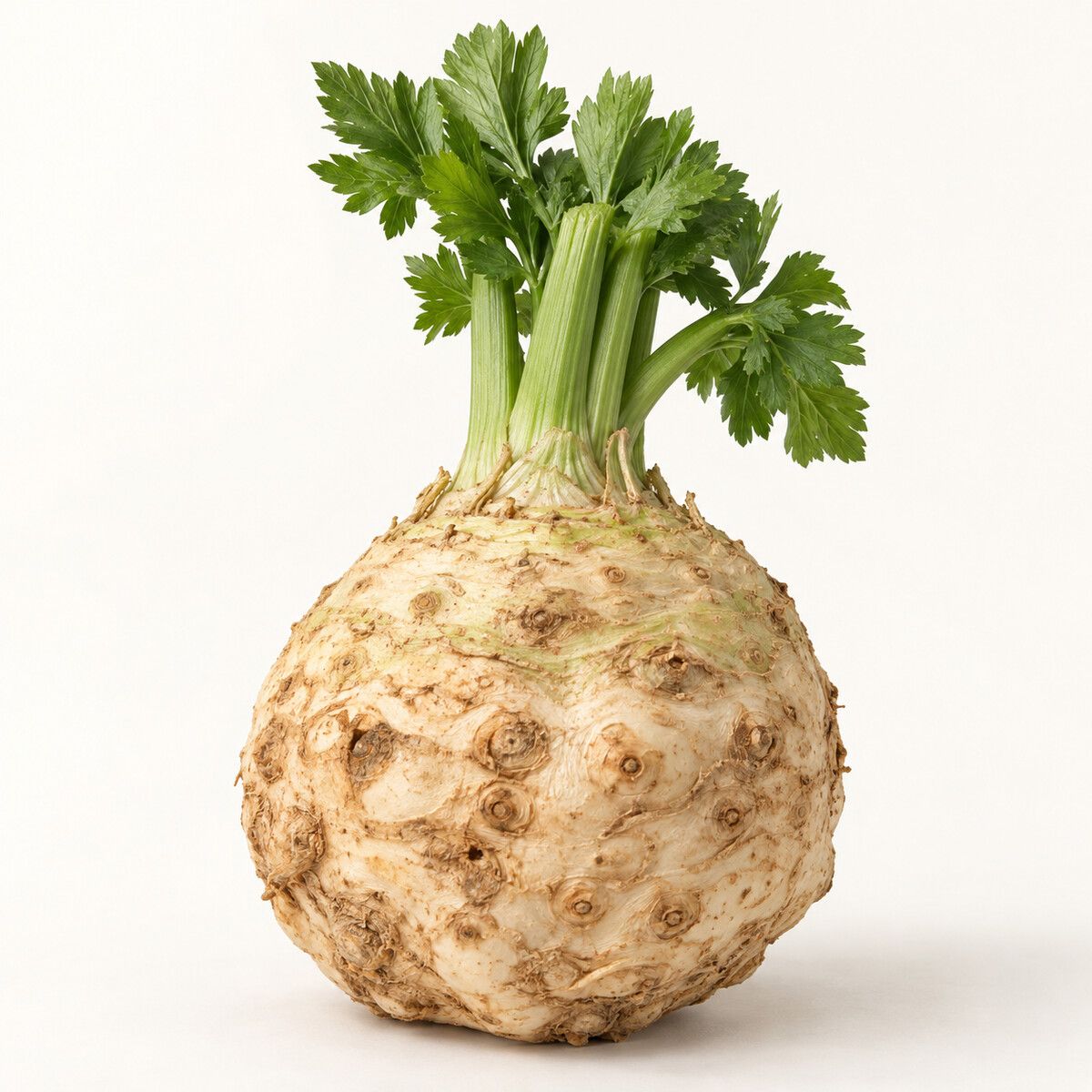 Celeriac — 1 kg