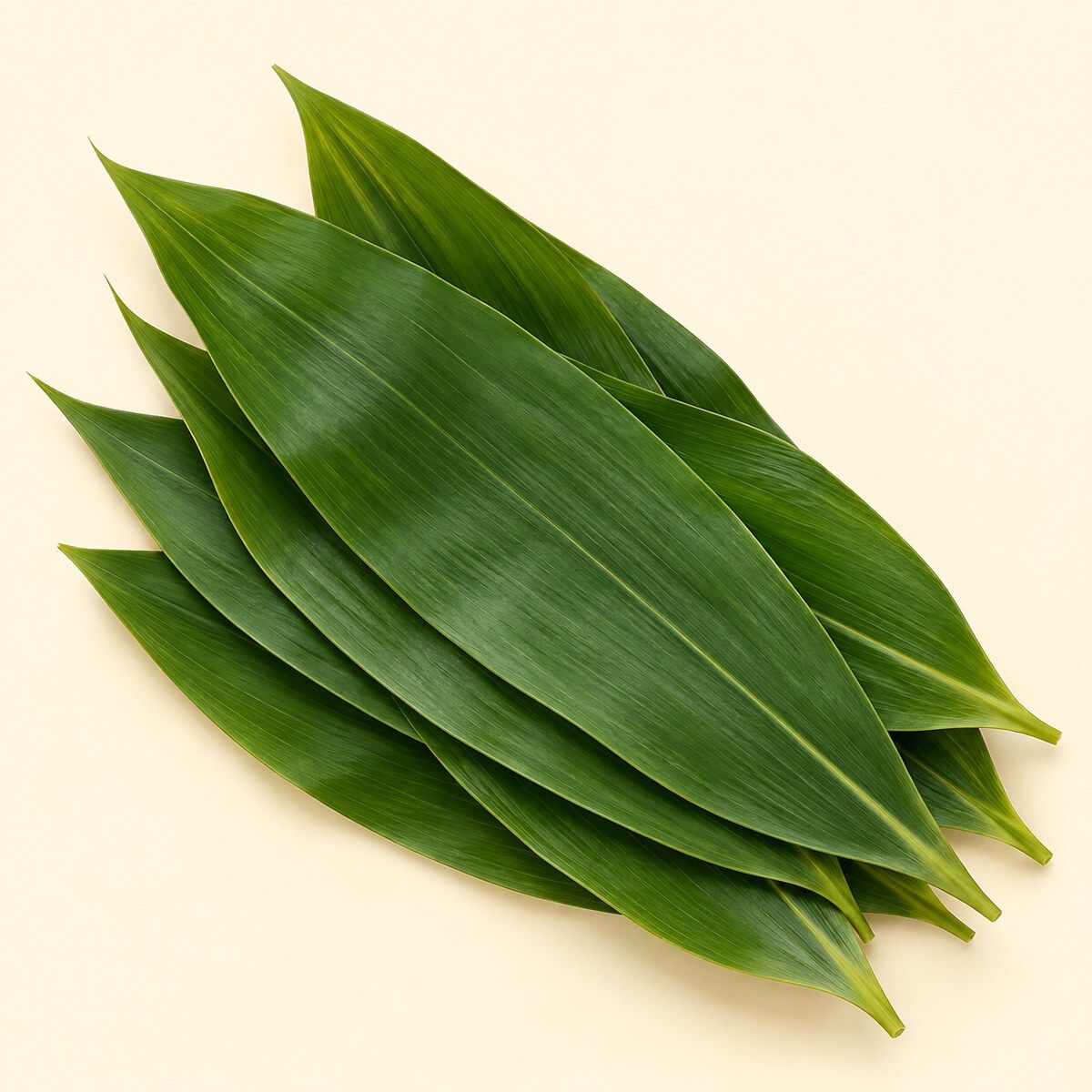 Bamboo Leaves — 100-piece pack