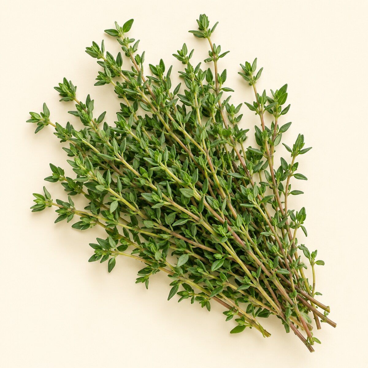 Thyme — 1 bunch
