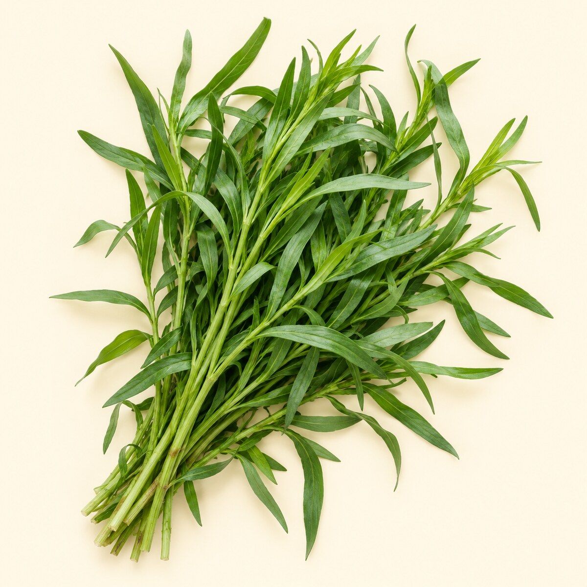 Tarragon — 1 bunch