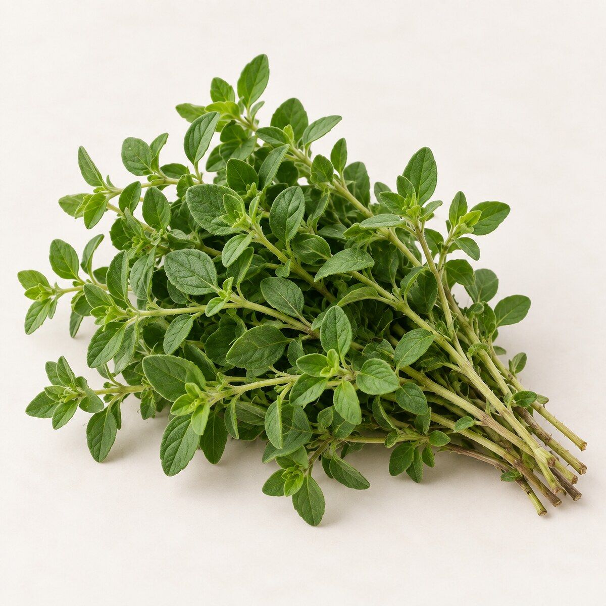 Oregano — 1 bunch