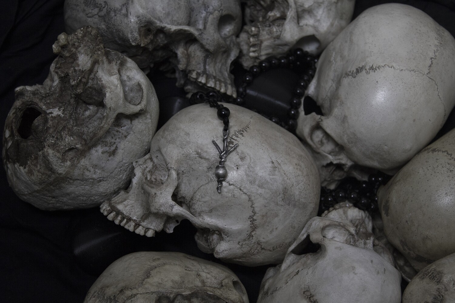 1347 - ROSARIUM: II - 40 DAYS