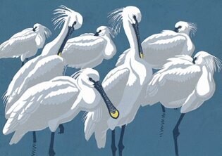 Spoonbills - Robert Gillmor
