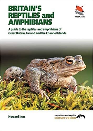 WILDGuides Britain&#39;s Reptiles and Amphibians