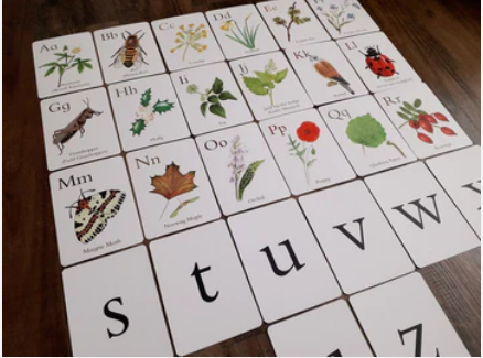 Nature Alphabet Set