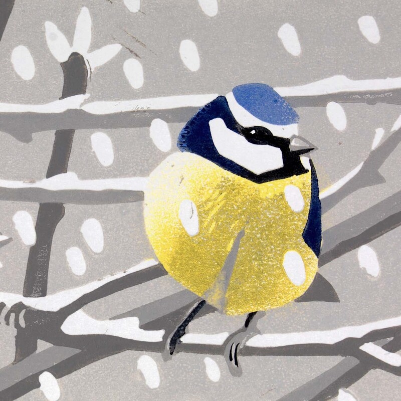 Blue Tit - Lisa Hooper 2022