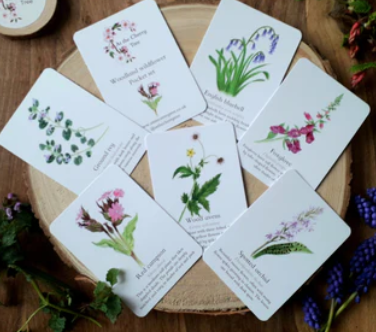 Woodland Wildflower Pocket Set