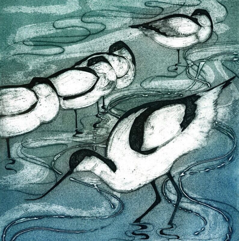 Avocets - Kerry Buck