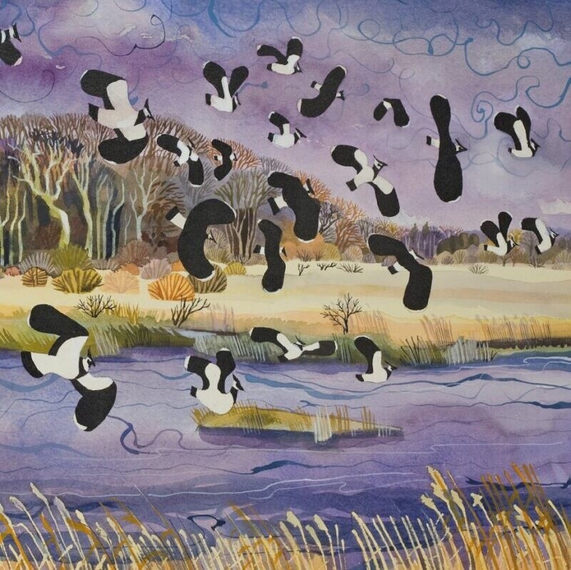 Lapwings and Shoveler - Carry Ackroyd
