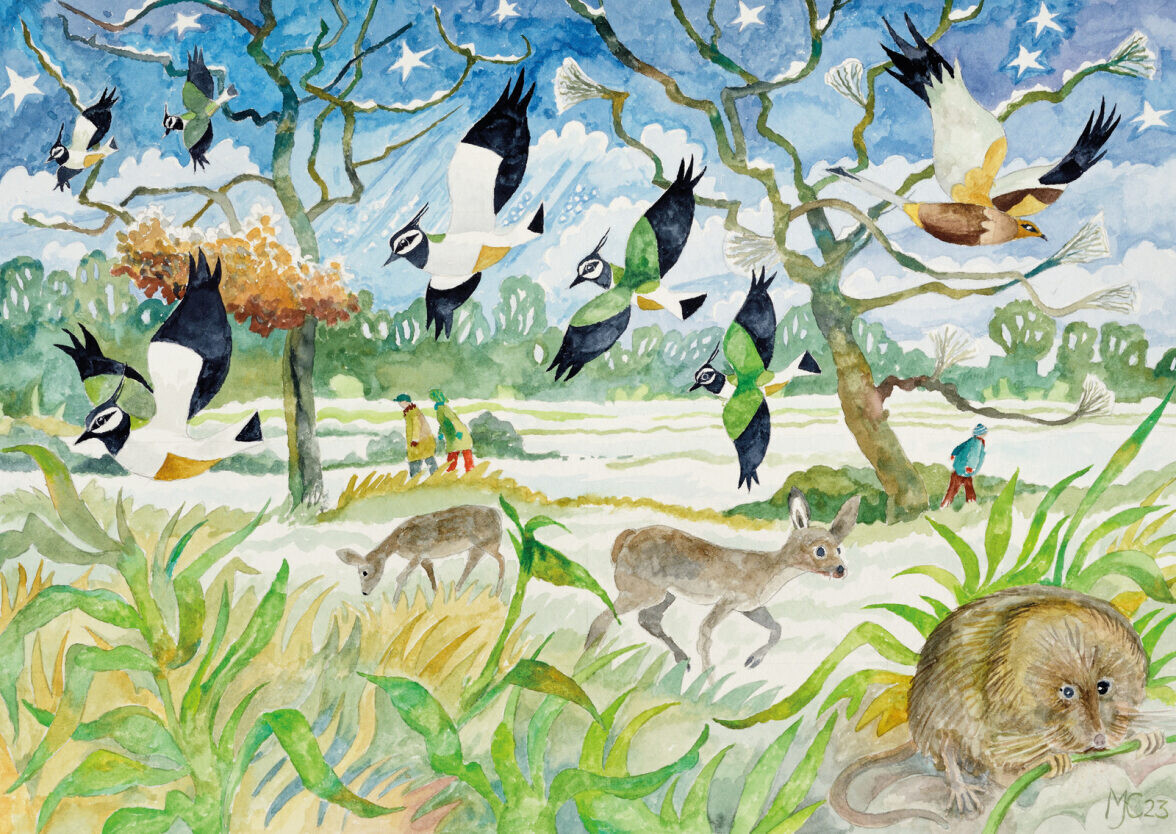 Carlton Marshes at Christmas - Michael Coulter