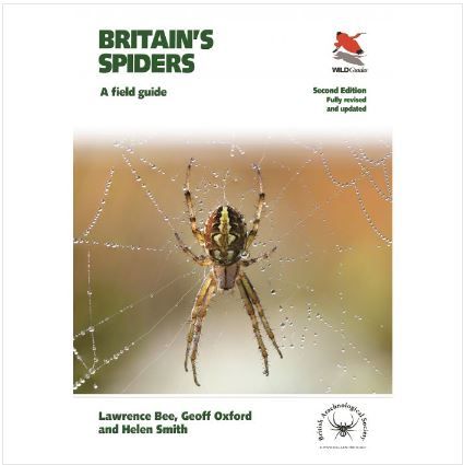 WILDGuides Britain&#39;s Spiders